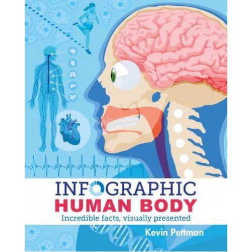 Infographic Human Body - Arcturus Visual Guides