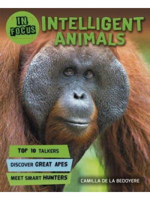 Intelligent Animals - In Focus