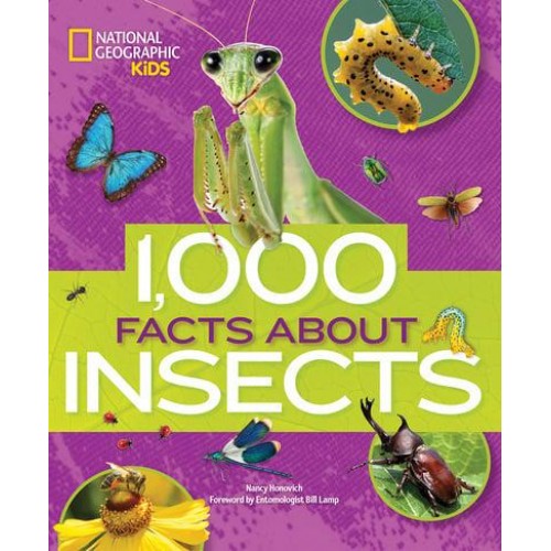 1000 Facts About Insects - 100 Facts About.