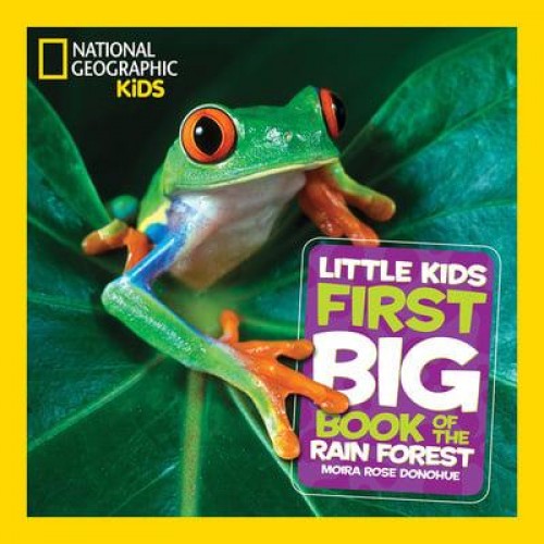 Little Kids First Big Book of the Rain Forest - Little Kids First Big Books