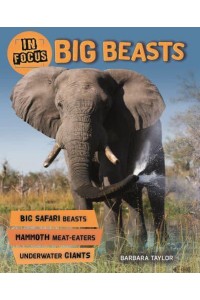 Big Beasts - In Focus