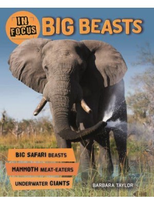 Big Beasts - In Focus