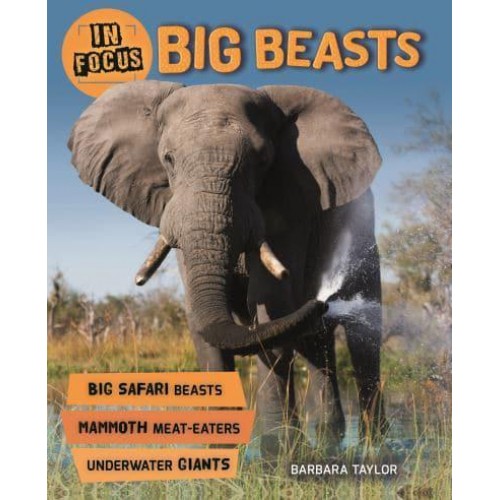Big Beasts - In Focus