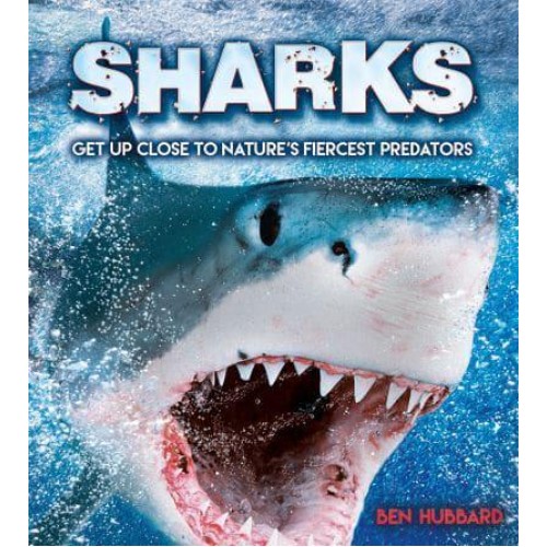 Sharks Get Up Close to Nature's Fiercest Predators
