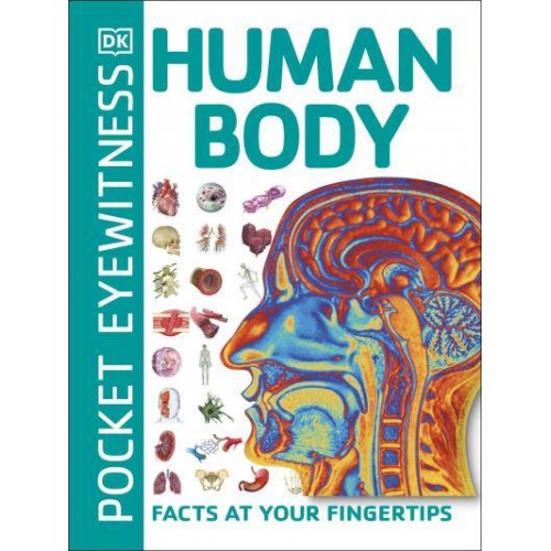 Human Body Facts at Your Fingertips - Pocket Eyewitness