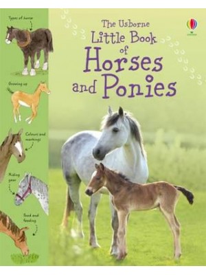 The Usborne Little Book of Horses and Ponies - Little Books