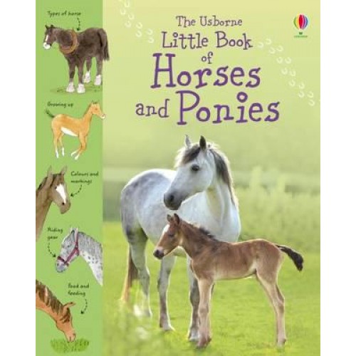 The Usborne Little Book of Horses and Ponies - Little Books