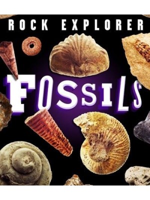 Fossils - Rock Explorer