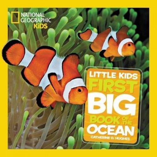 First Book of the Ocean - National Geographic Kids