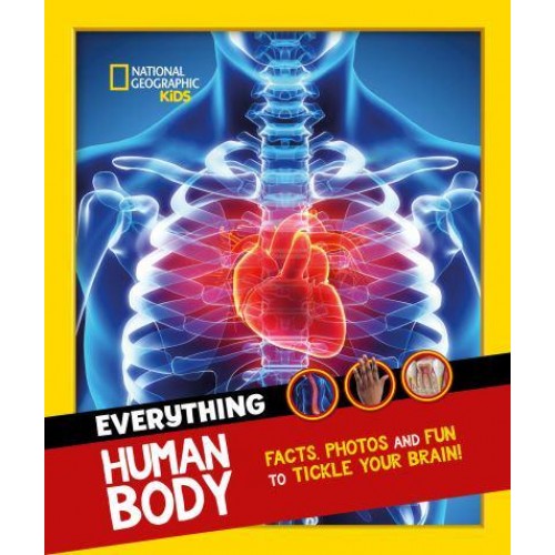 Everything Human Body Facts, Photos and Fun to Tickle Your Brain! - National Geographic Kids