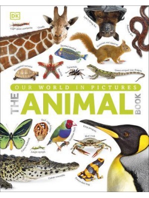 The Animal Book A Visual Encyclopedia of Life on Earth - DK Our World in Pictures