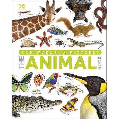 The Animal Book A Visual Encyclopedia of Life on Earth - DK Our World in Pictures