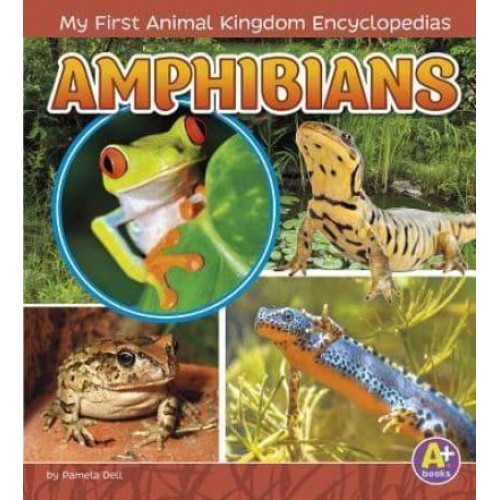 Amphibians - A+ Books. My First Animal Kingdom Encyclopedias