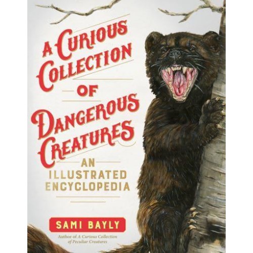 A Curious Collection of Dangerous Creatures An Illustrated Encyclopedia - The Curious Collection of Creatures