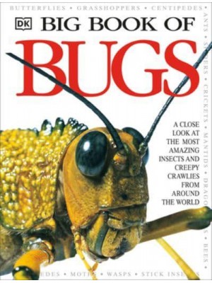 DK Big Book of Bugs - DK Big Books