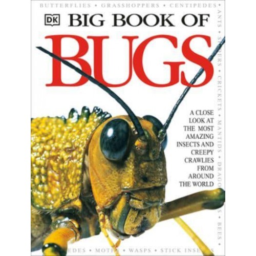 DK Big Book of Bugs - DK Big Books