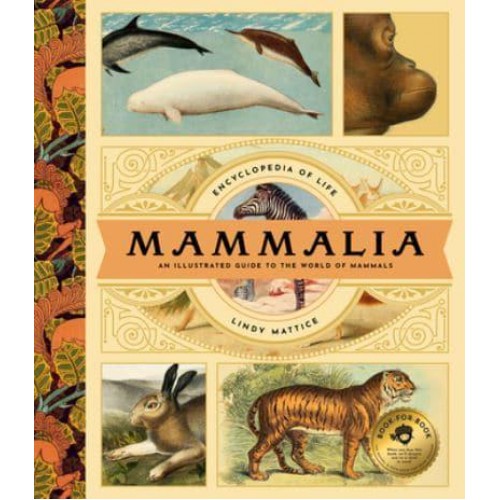 Mammalia - Encyclopedias of Life