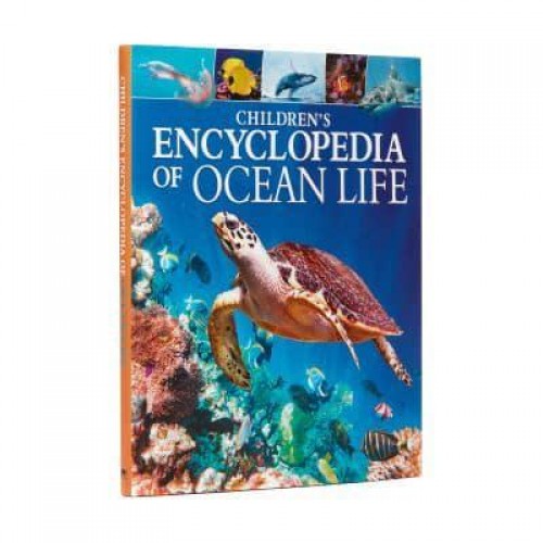 Children's Encyclopedia of Ocean Life - Arcturus Children's Reference Library