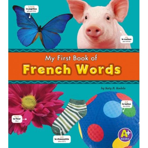 My First Book of French Words - Bilingual Picture Dictionaries