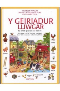 Geiriadur Lliwgar, Y