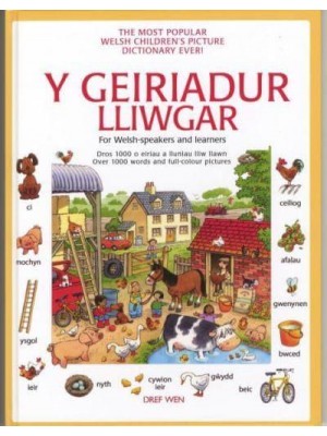 Geiriadur Lliwgar, Y