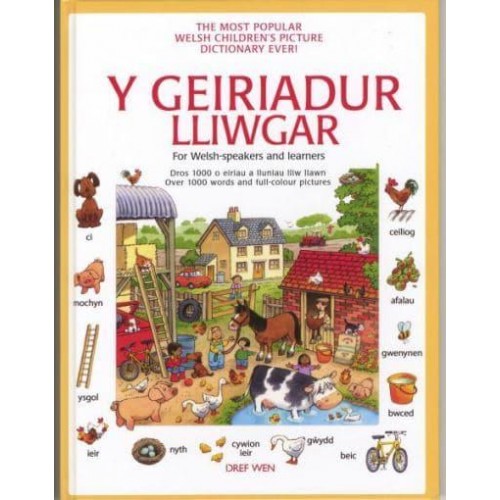 Geiriadur Lliwgar, Y