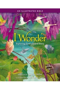 I Wonder Exploring God's Grand Story, an Illustrated Bible