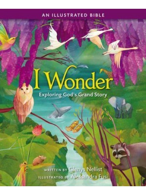 I Wonder Exploring God's Grand Story, an Illustrated Bible