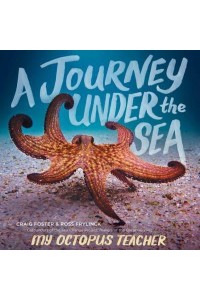 A Journey Under the Sea