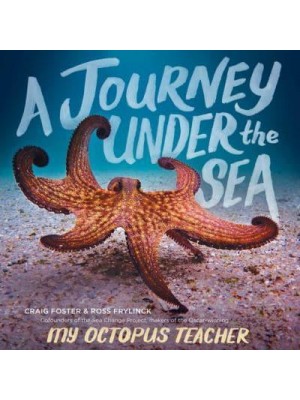 A Journey Under the Sea