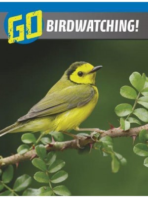 Go Birdwatching! - The Wild Outdoors