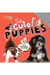 Puppies - So Cute!