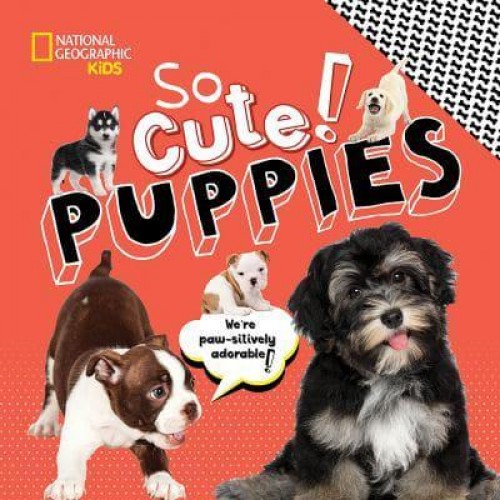 Puppies - So Cute!