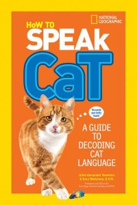 How to Speak Cat A Guide to Decoding Cat Language - How To Speak
