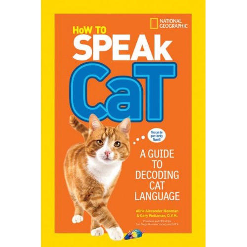 How to Speak Cat A Guide to Decoding Cat Language - How To Speak