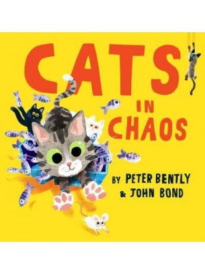 Cats in Chaos