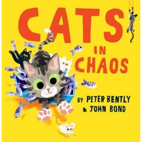 Cats in Chaos