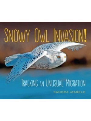 Snowy Owl Invasion! Tracking an Unusual Migration - Sandra Markle's Science Discoveries