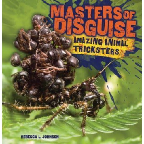 Masters of Disguise Amazing Animal Tricksters