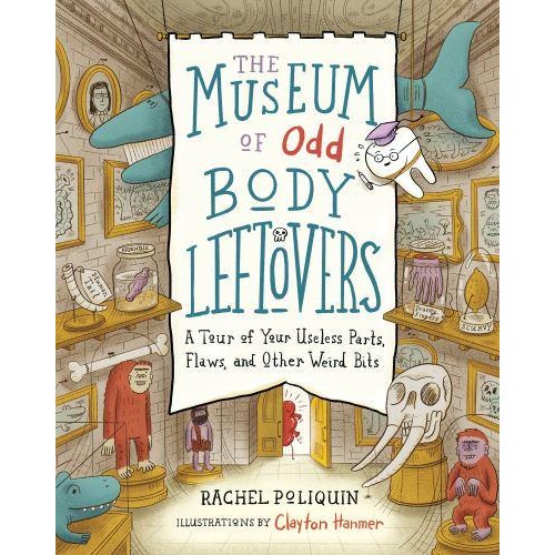 The Museum of Odd Body Leftovers A Tour of Your Useless Parts, Flaws, and Other Weird Bits