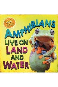 Amphibians Live on Land and in Water - In the Animal Kingdom