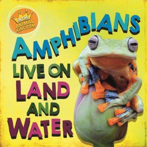 Amphibians Live on Land and in Water - In the Animal Kingdom