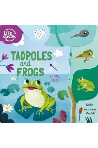 Tadpoles and Frogs Make Your Own Model! - Life Cycles