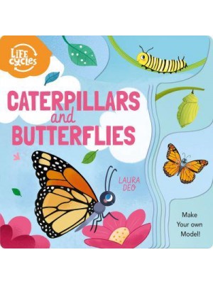 Caterpillars and Butterflies Make Your Own Model! - Life Cycles
