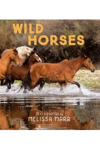 Wild Horses