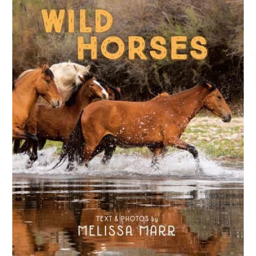 Wild Horses