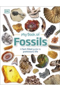 My Book of Fossils - My Book Of