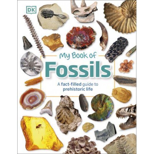 My Book of Fossils - My Book Of