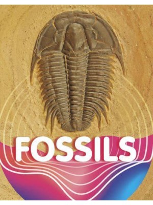 Fossils - Earth Materials and Systems