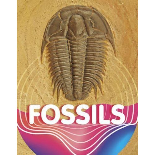 Fossils - Earth Materials and Systems